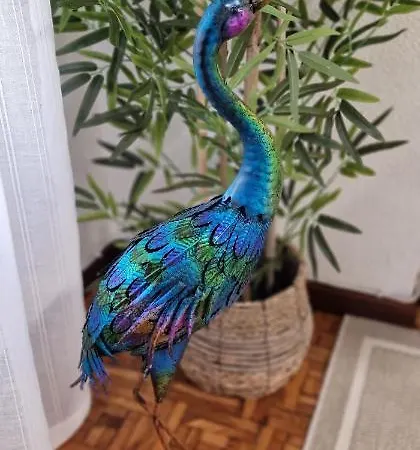 Apartamento El Capricho De Ezcurdia - 6 Pax - Vut-3878-as Gijón